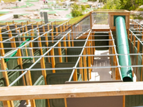 Amaze'n Maze - All Ages