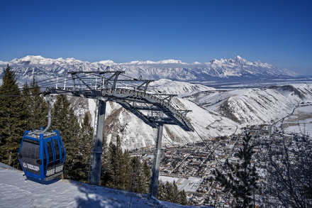 Winter Scenic Gondola - Round Trip
